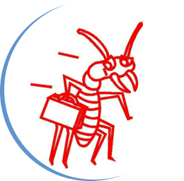 A red ant holding a briefcase in its mouth.